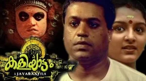 Vannaathippuzhayude Lyrics