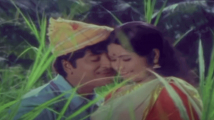 Poovili Poovili Ponnonamayi Lyrics